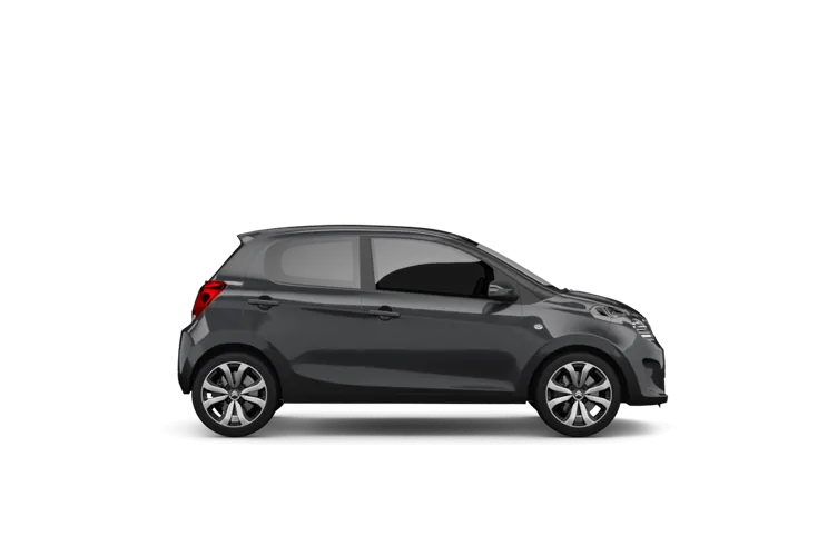 Suzuki Alto rental car